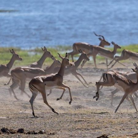 Jackalberry Chobe Hotel Kasane Ngoại thất bức ảnh